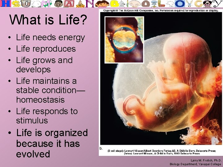 What is Life? • Life needs energy • Life reproduces • Life grows and