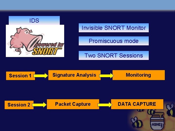 IDS Invisible SNORT Monitor Promiscuous mode Two SNORT Sessions Session 1 Signature Analysis Monitoring