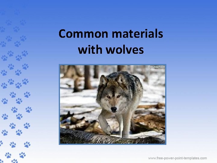 Common materials with wolves 