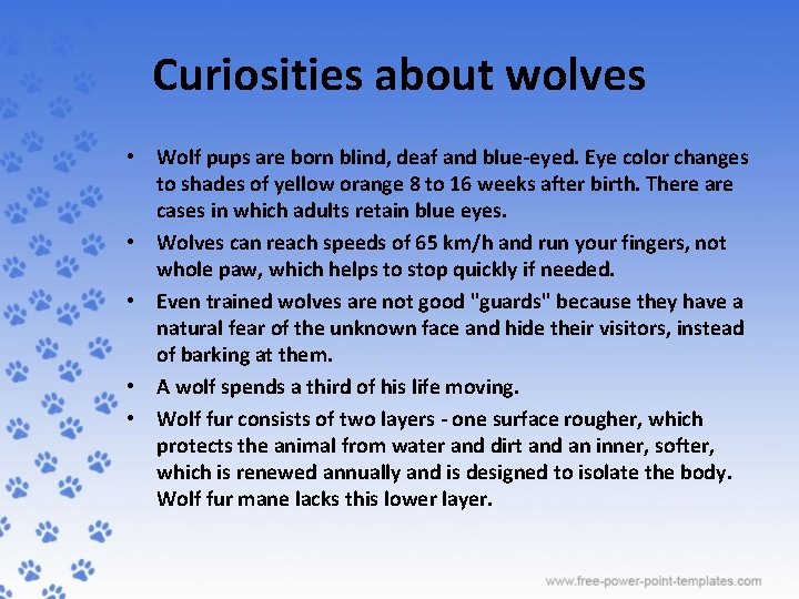 Curiosities about wolves • Wolf pups are born blind, deaf and blue-eyed. Eye color