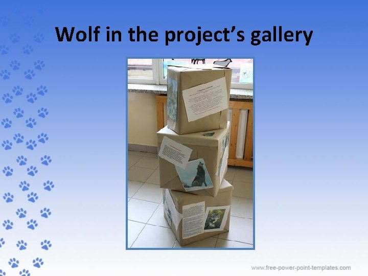 Wolf in the project’s gallery 