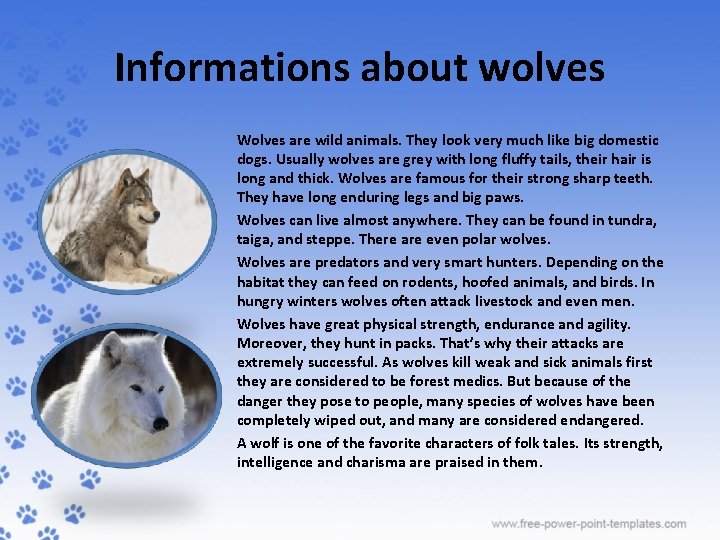 Informations about wolves Wolves are wild animals. They look very much like big domestic