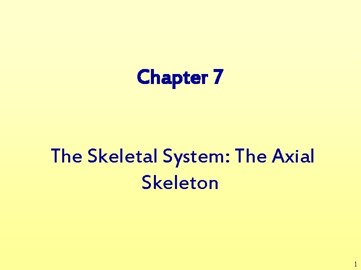 Chapter 7 The Skeletal System: The Axial Skeleton 1 