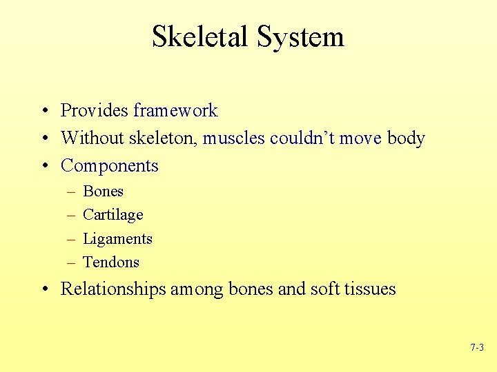 Skeletal System • Provides framework • Without skeleton, muscles couldn’t move body • Components