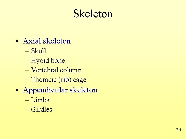Skeleton • Axial skeleton – Skull – Hyoid bone – Vertebral column – Thoracic