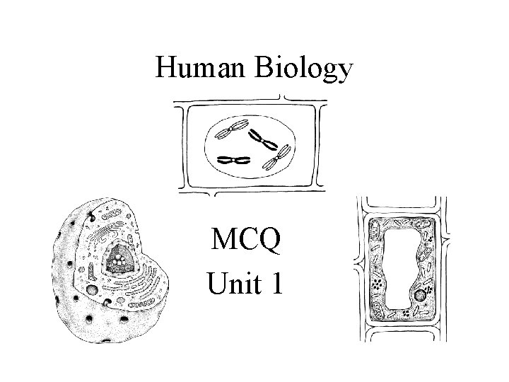 Human Biology MCQ Unit 1 