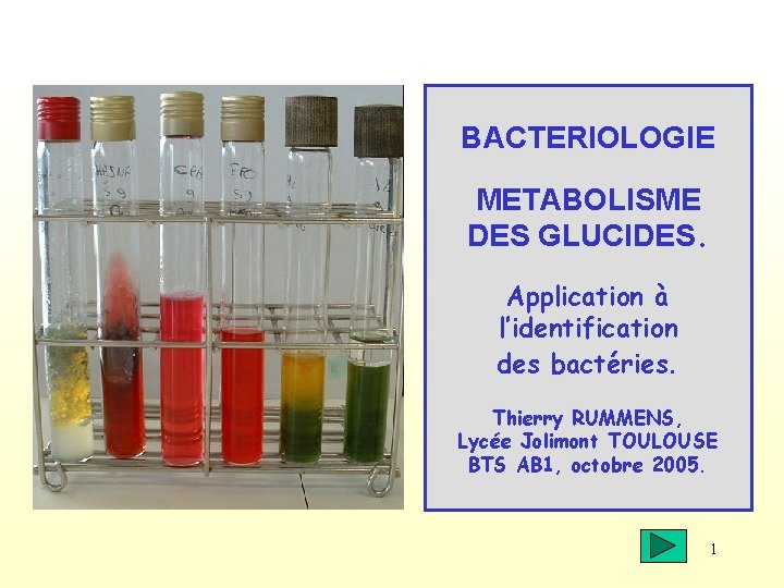 BACTERIOLOGIE METABOLISME DES GLUCIDES. Application à l’identification des bactéries. Thierry RUMMENS, Lycée Jolimont TOULOUSE