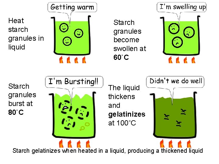Functional properties of food Year 11 Objectives What