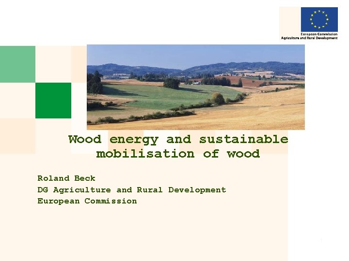 Wood energy and sustainable mobilisation of wood Roland Beck DG Agriculture and Rural Development