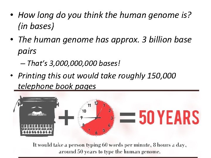  • How long do you think the human genome is? (in bases) •