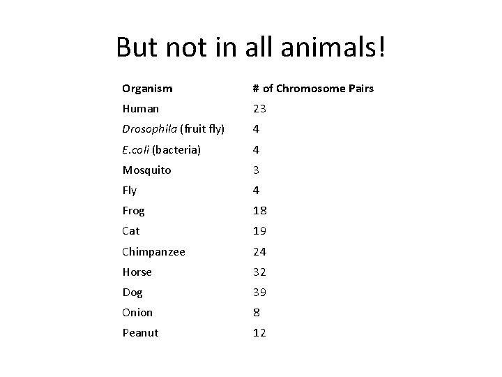 But not in all animals! Organism # of Chromosome Pairs Human 23 Drosophila (fruit