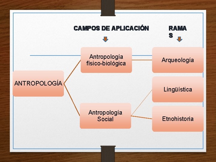CAMPOS DE APLICACIÓN Antropología físico-biológica ANTROPOLOGÍA RAMA S Arqueología Lingüística Antropología Social Etnohistoria 