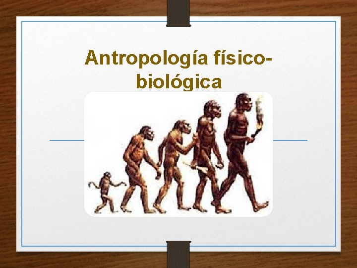 Antropología físicobiológica 
