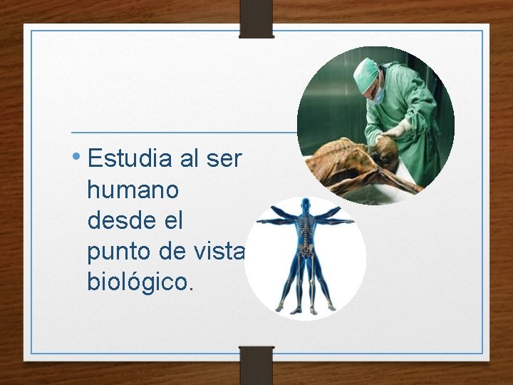  • Estudia al ser humano desde el punto de vista biológico. 