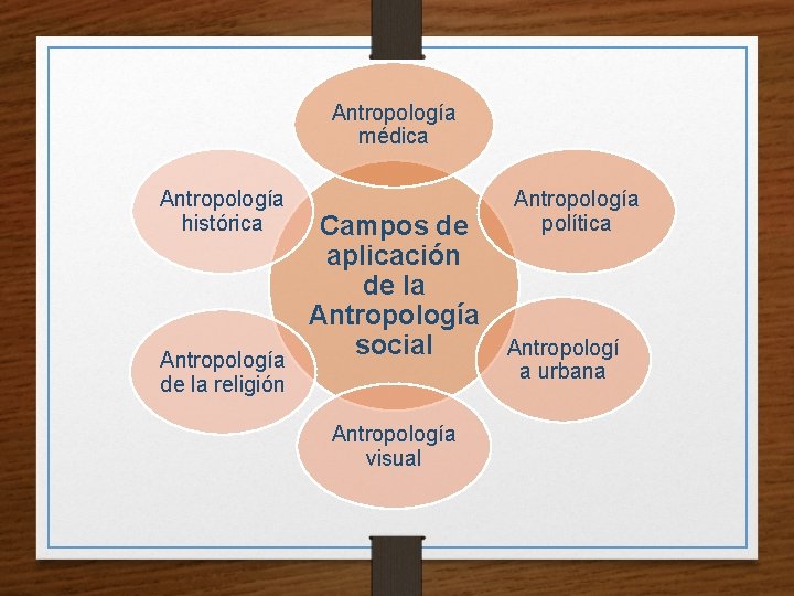 Antropología médica Antropología histórica Antropología de la religión Campos de aplicación de la Antropología