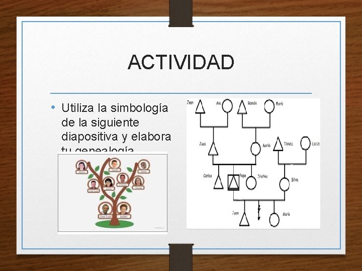 ACTIVIDAD • Utiliza la simbología de la siguiente diapositiva y elabora tu genealogía 