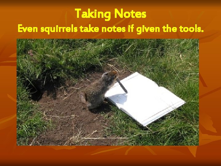 Taking Notes Even squirrels take notes if given the tools. 