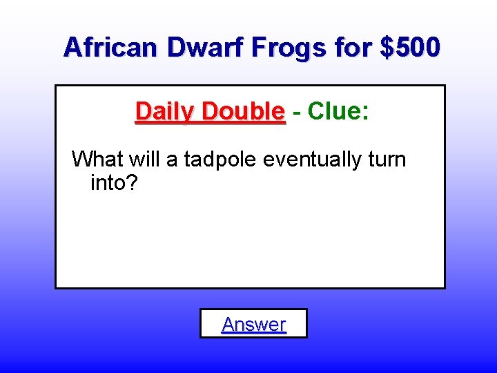 African Dwarf Frogs for $500 Daily Double - Clue: What will a tadpole eventually