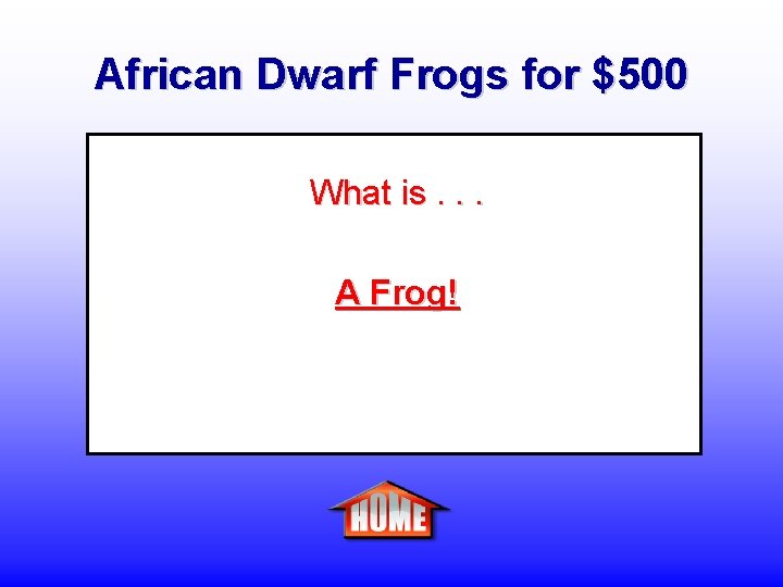 African Dwarf Frogs for $500 What is. . . A Frog! 