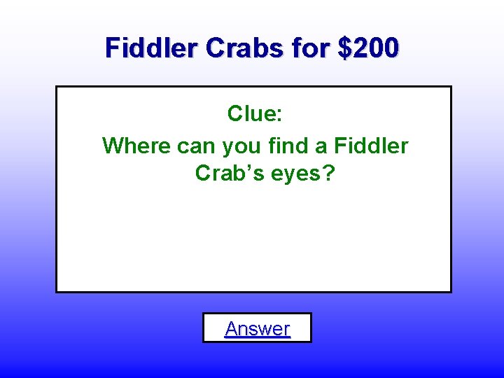 Fiddler Crabs for $200 Clue: Where can you find a Fiddler Crab’s eyes? Answer