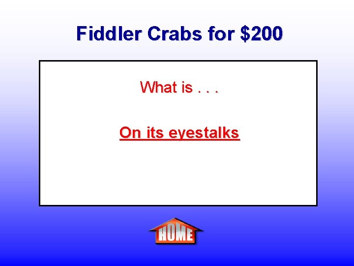 Fiddler Crabs for $200 What is. . . On its eyestalks 