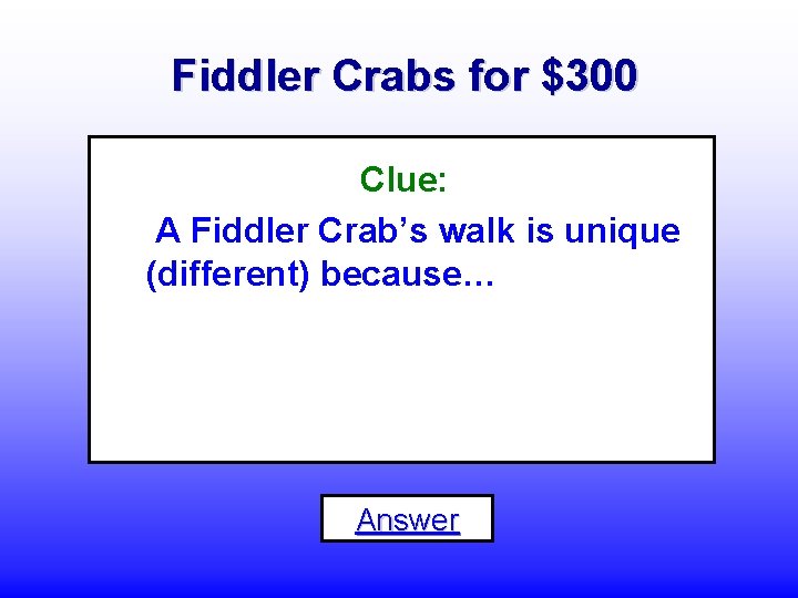 Fiddler Crabs for $300 Clue: A Fiddler Crab’s walk is unique (different) because… Answer