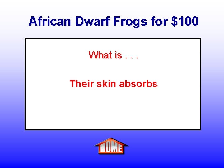 African Dwarf Frogs for $100 What is. . . Their skin absorbs 