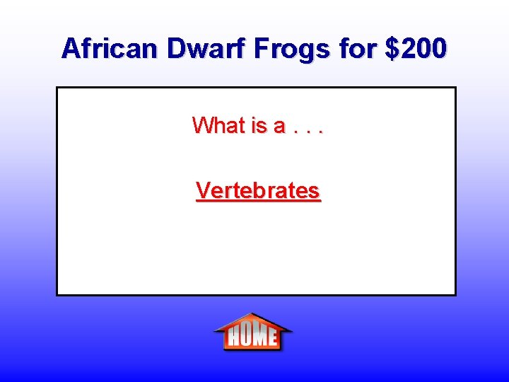 African Dwarf Frogs for $200 What is a. . . Vertebrates 