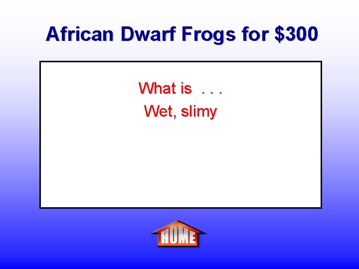 African Dwarf Frogs for $300 What is. . . Wet, slimy 