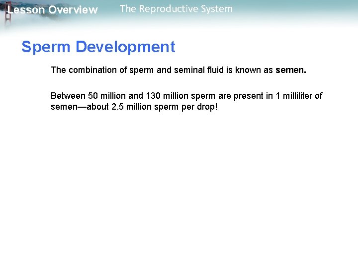 Lesson Overview The Reproductive System Sperm Development The combination of sperm and seminal fluid