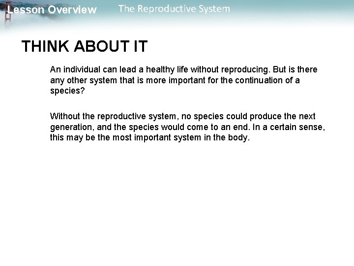 Lesson Overview The Reproductive System THINK ABOUT IT An individual can lead a healthy