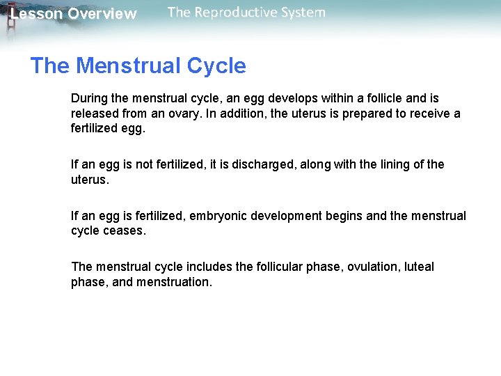 Lesson Overview The Reproductive System The Menstrual Cycle During the menstrual cycle, an egg