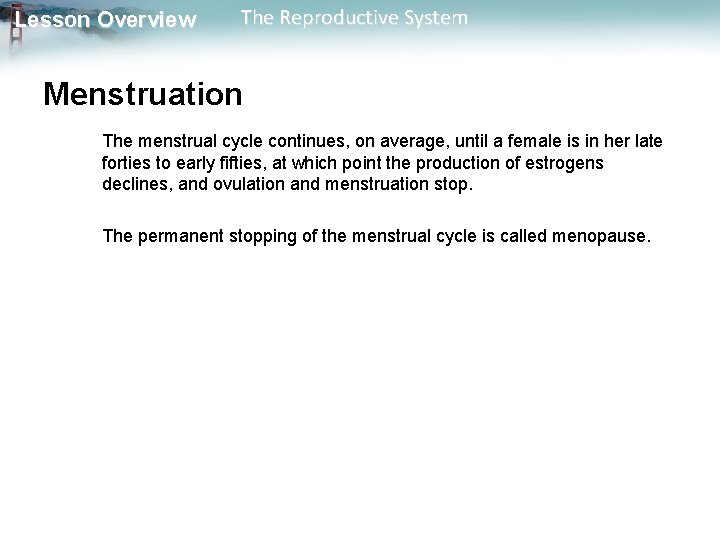 Lesson Overview The Reproductive System Menstruation The menstrual cycle continues, on average, until a