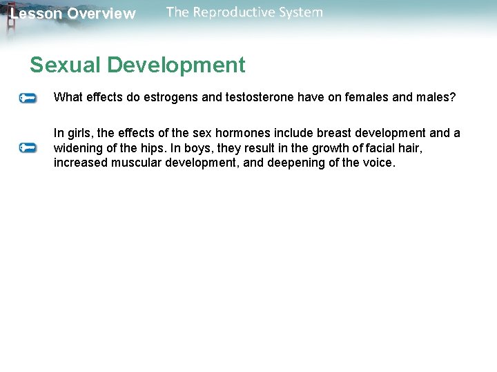 Lesson Overview The Reproductive System Sexual Development What effects do estrogens and testosterone have