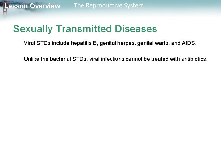 Lesson Overview The Reproductive System Sexually Transmitted Diseases Viral STDs include hepatitis B, genital