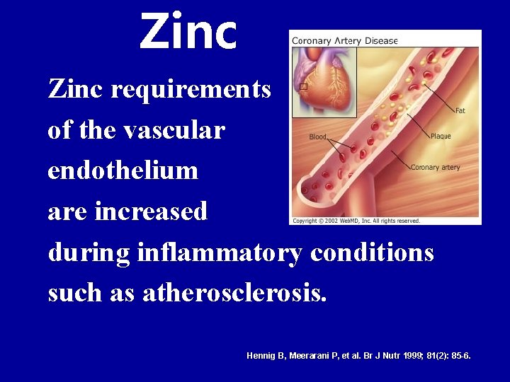 Zinc requirements of the vascular endothelium are increased during inflammatory conditions such as atherosclerosis.