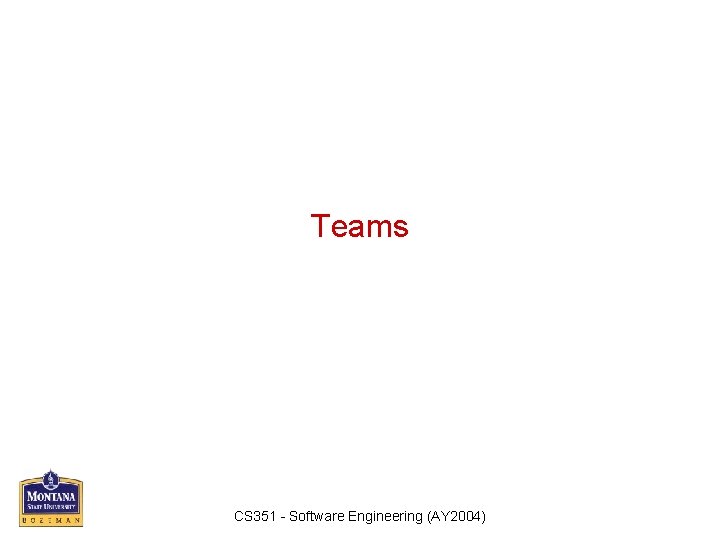 Teams CS 351 - Software Engineering (AY 2004) 