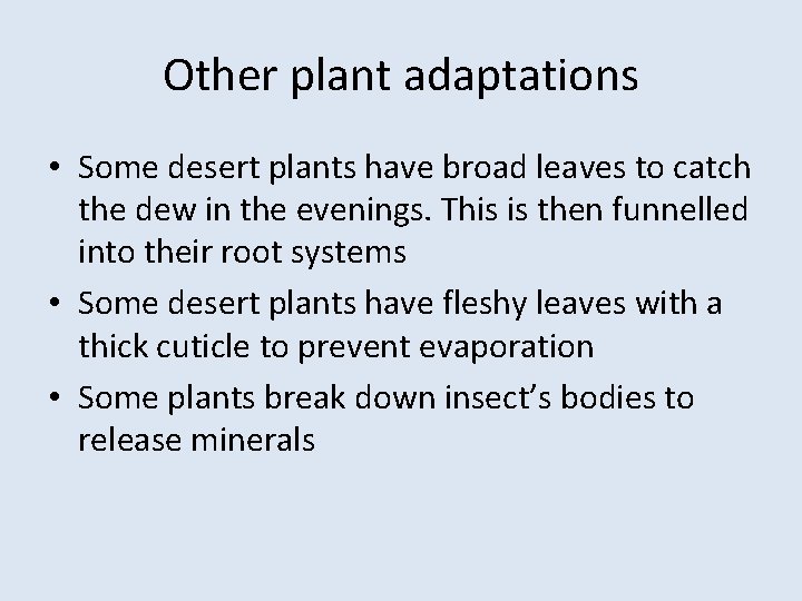 Other plant adaptations • Some desert plants have broad leaves to catch the dew