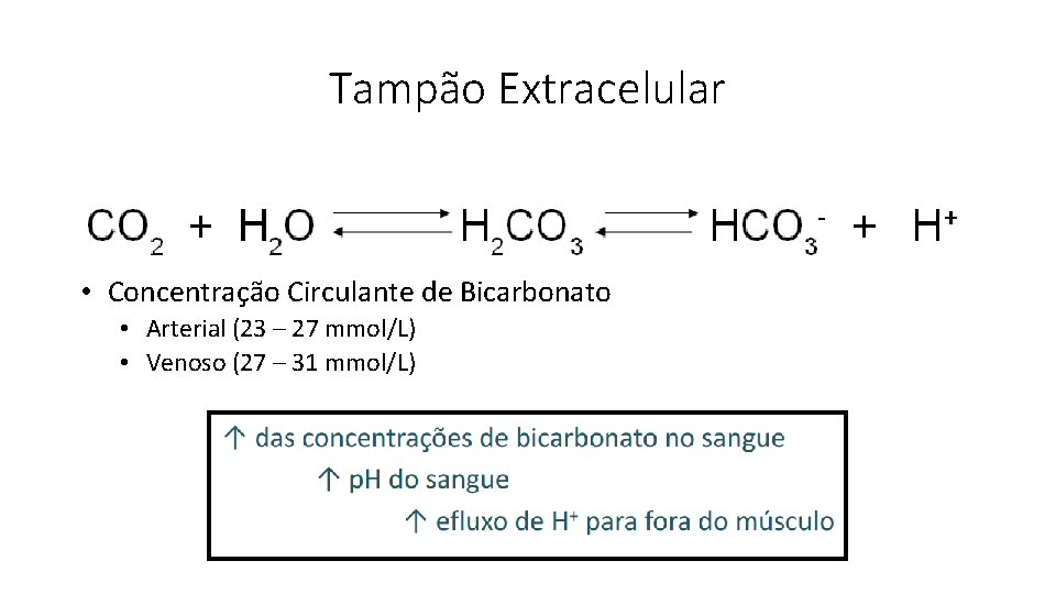 Tampão Extracelular • Concentração Circulante de Bicarbonato • Arterial (23 – 27 mmol/L) •