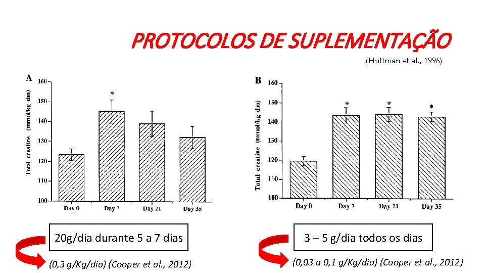 PROTOCOLOS DE SUPLEMENTAÇÃO (Hultman et al. , 1996) 20 g/dia durante 5 a 7