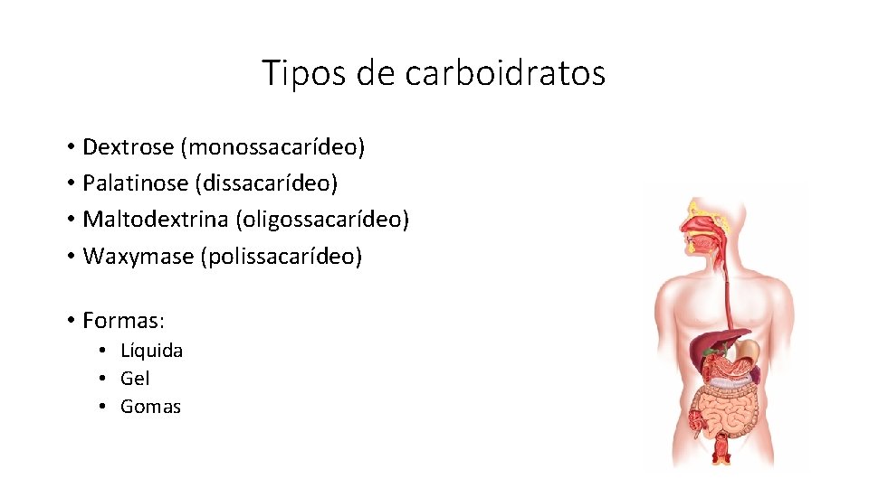 Tipos de carboidratos • Dextrose (monossacarídeo) • Palatinose (dissacarídeo) • Maltodextrina (oligossacarídeo) • Waxymase