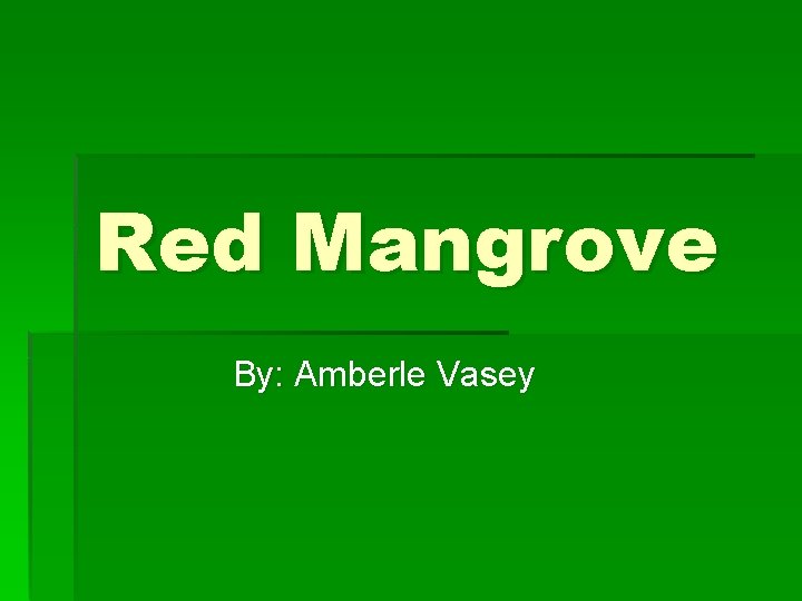 Red Mangrove By: Amberle Vasey 