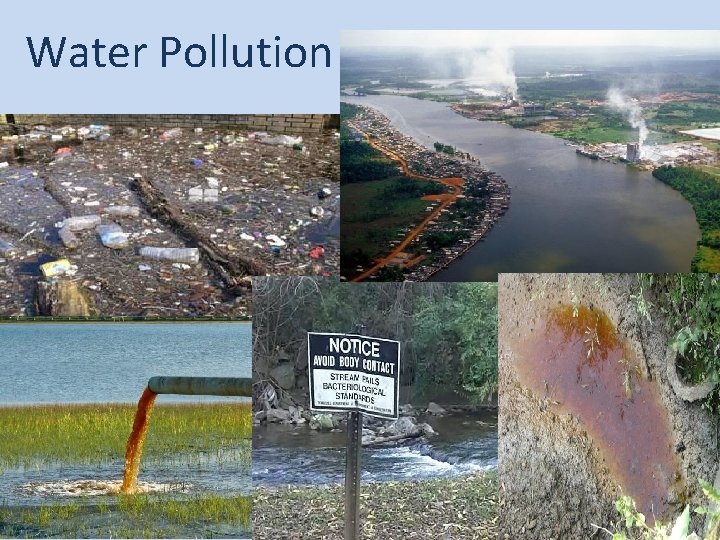 Water Pollution 