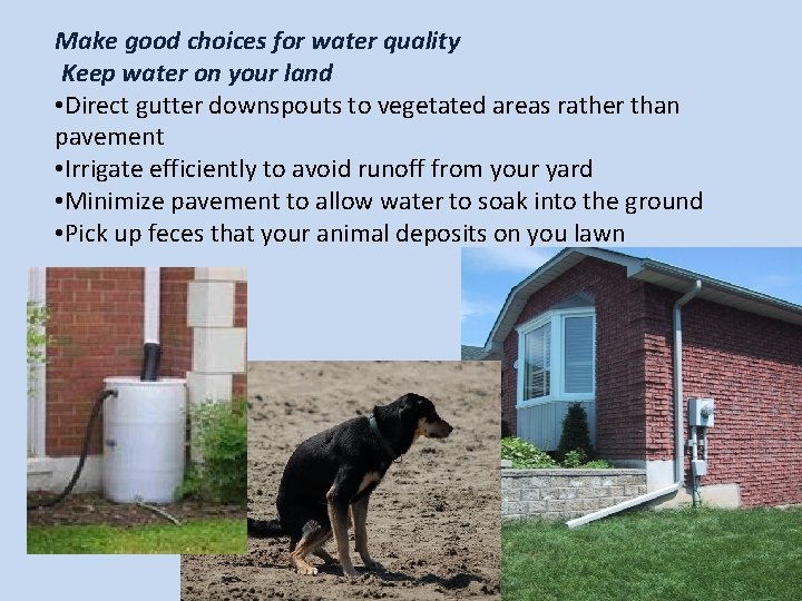 Make good choices for water quality Keep water on your land • Direct gutter