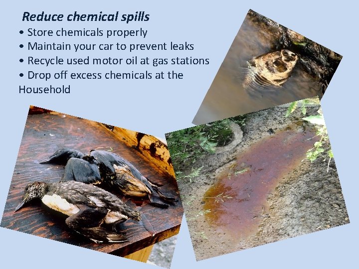 Reduce chemical spills • Store chemicals properly • Maintain your car to prevent leaks