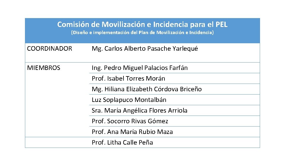 Comisión de Movilización e Incidencia para el PEL (Diseño e implementación del Plan de