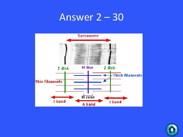 Answer 2 – 30 