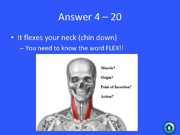 Answer 4 – 20 • It flexes your neck (chin down) – You need