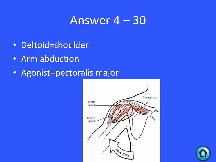 Answer 4 – 30 • Deltoid=shoulder • Arm abduction • Agonist=pectoralis major 