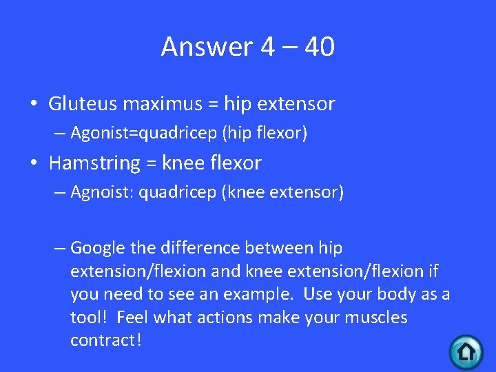 Answer 4 – 40 • Gluteus maximus = hip extensor – Agonist=quadricep (hip flexor)